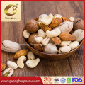 Best Quality Healthy Sweet Delicious Tasty Cheap New Crop New Fragrance Macadamia in Shell